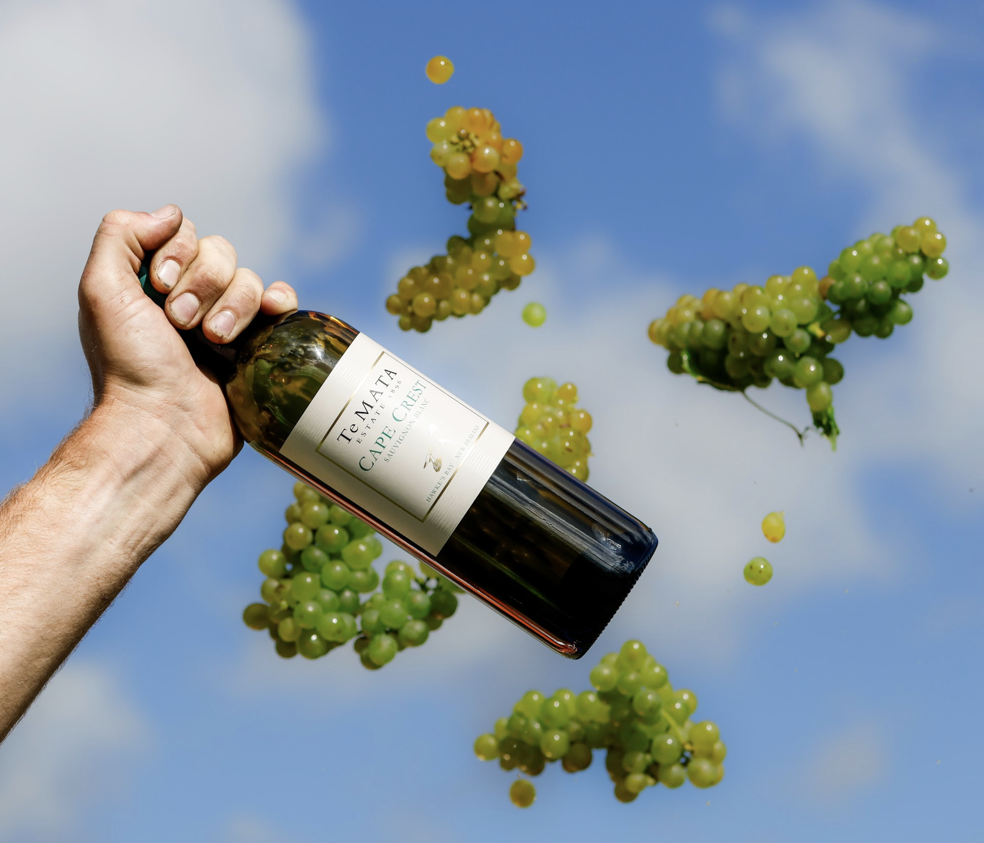 Forbes names Te Mata Cape Crest in Best NZ Sauvignon Blanc
